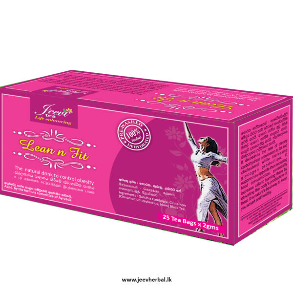 Lean n Fit - Tea Box